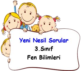  3.Sınıf Fen Bilimleri Yeni Nesil Sorular